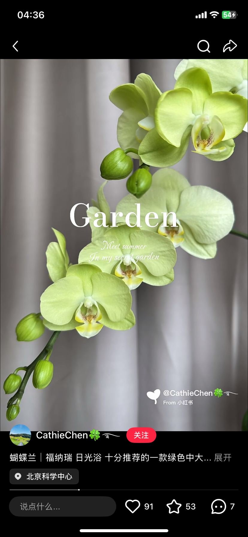 蝴蝶兰日光浴3.0寸加高杯不带花剑,鲜花速递/花卉仿真/绿植园艺,国兰/杂交兰/洋兰类,淘宝优惠券,粉丝福利购,淘宝优惠卷