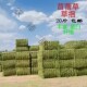 苜蓿草捆家畜喂马k草料牛羊驼食用牧草动物园宠物养殖场干草饲料