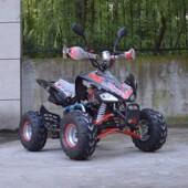 125CCATV 沙滩车 B全地形越野摩托车 110CC 四轮摩托车 雪地摩托