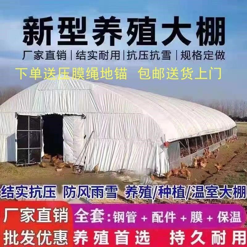 全套养殖大棚全套养鸡棚猪棚牛棚羊棚鸭棚鹅棚R养殖棚专用大棚骨