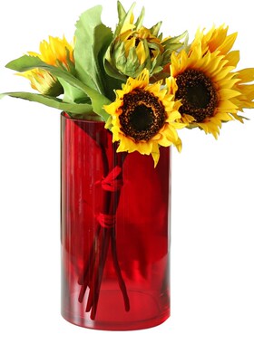 约红色直筒玻璃j花瓶结婚喜庆插花新年福抱桶富R贵竹客厅落地装饰