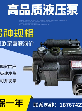 台湾油泵P08/P16/P22/P36/P46/P70-A1/A2/A3/A4-F-R-.01柱塞泵