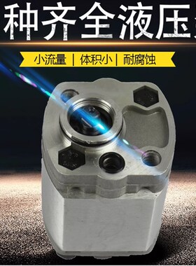 CBK-aF232/-F237/-F240/F250/F260微型液压齿轮泵电动油泵反转扁