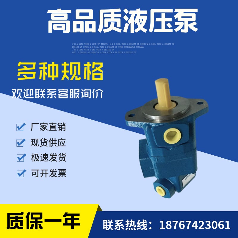 美国威格士双联叶片泵V2010 1F7S4S 1BD12水利机V械泵发动机制造