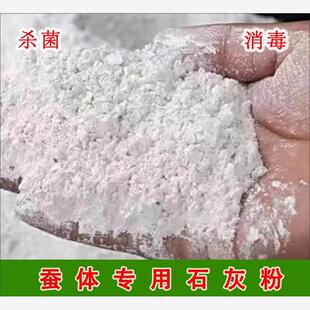 蚕宝宝专用石灰粉小蚕宝实用工具消菌杀毒防潮养蚕病脱皮清理卫生
