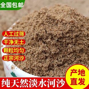天然河沙河砂沙子养花用种植种花用实验用粗沙细沙黄沙通用营养土