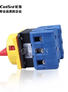 长信温州长江LW30-100 300010 100A转换开关电源开关Y负载断路开