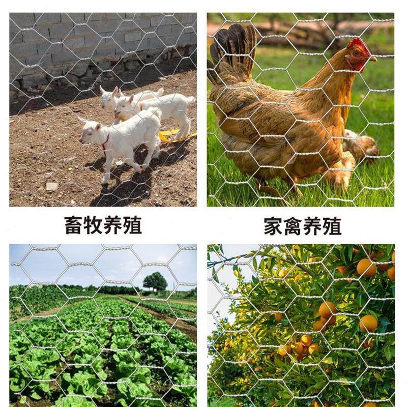 热镀锌六角网铁丝围栏养殖圈牛羊猪钢丝护栏防护网加粗防锈拧花网