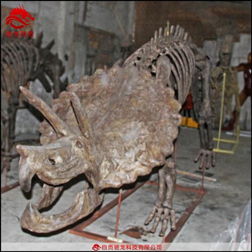 三角龙仿真骨架化石大型树脂恐龙骨架标本制作动物骨骼模型定制