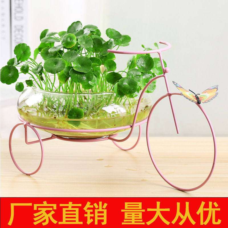 玻璃铜钱草花盆睡莲简约容器室内桌面装饰现创意花摆件绿植,宠物/宠物食品及用品,生态瓶/创意缸/微景缸,淘宝优惠券,粉丝福利购,淘宝优惠卷