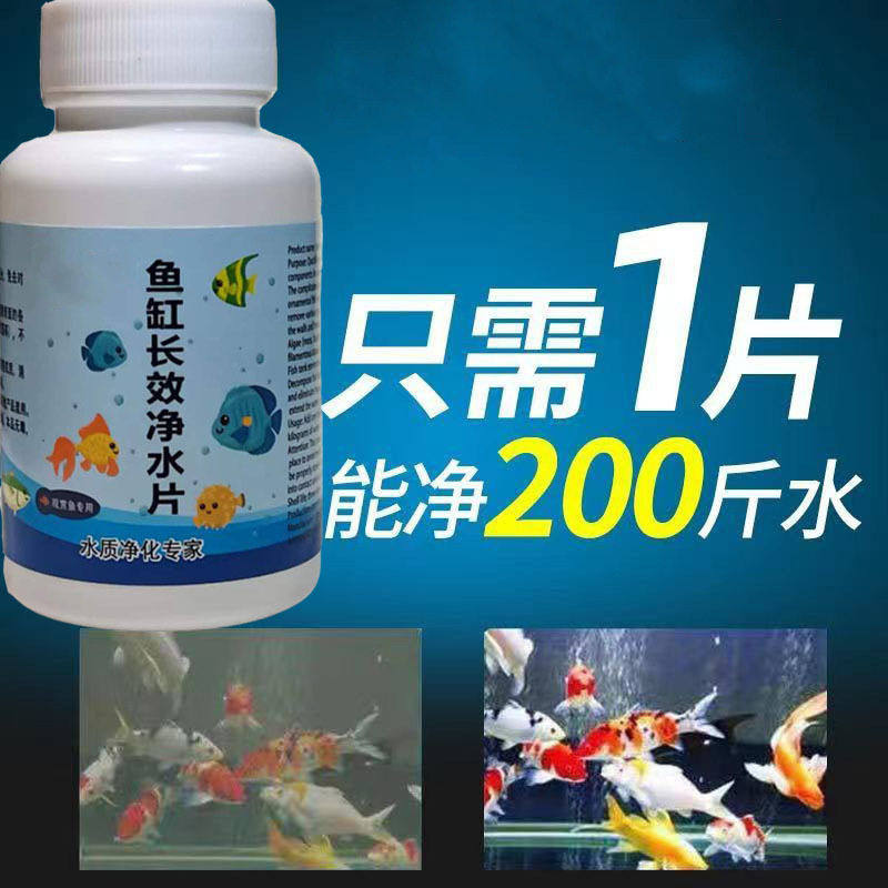 净水片鱼缸水族箱净化水浑浊脏除腥臭味不伤鱼过滤免换水净水王,宠物/宠物食品及用品,其它水族用具设备,淘宝优惠券,粉丝福利购,淘宝优惠卷