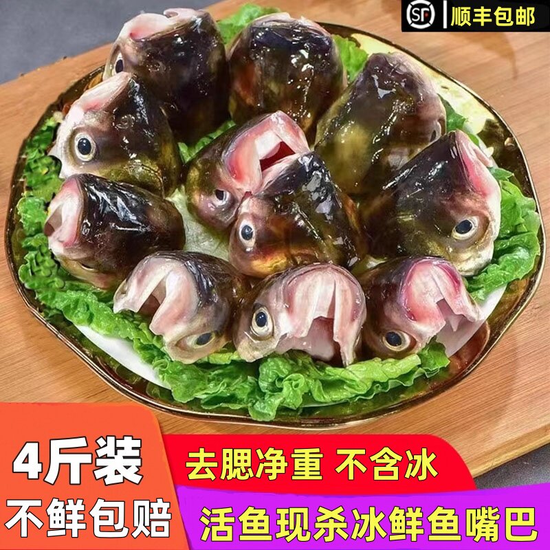 新鲜鱼嘴巴活鱼现杀大头鱼真空鱼唇老街鱼嘴巴鲢鱼头鲜活4斤装