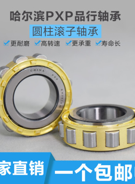 哈尔滨PXP圆柱f滚子轴承 NU1034 NU1036 NU1038 NU1040 NU1044 M
