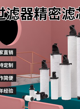 现货 匹配替代f多明尼克汉德DH新款滤芯04D5AA AO ACS AAR AR AX