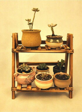 2Tier Floweir Pot Display Rack Corner Storage Multi-layer Ho