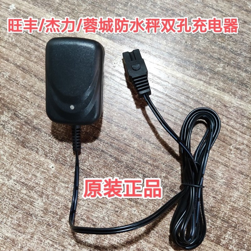 大阳永州杰力大亨康衡稻丰奥马枝花佳友蓉城康美电子秤充电器DC6V