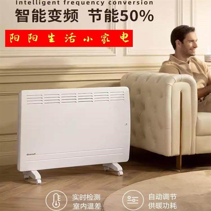 法国白朗N22D新款取暖器家用循环升温供暖电暖S气欧式快热炉取暖