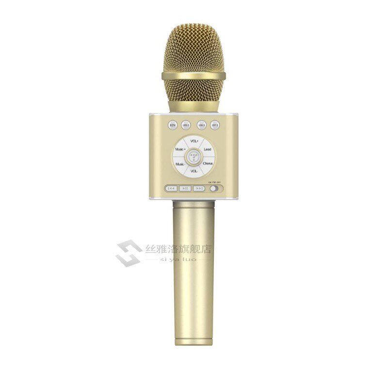 Q12 2020 New Portable Karaoke MicrFophone Wireless Bluetooth
