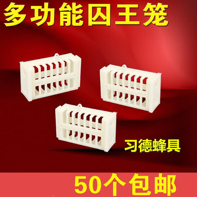 50个养蜜蜂工具王笼捕王器多功能塑料中蜂意蜂通用王笼拍1发50个