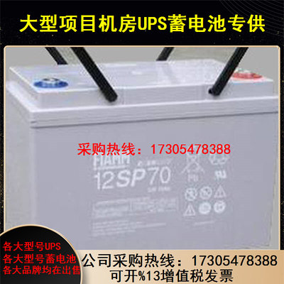 非凡蓄电池12V65AH意大利FIAMM 12SP70直流屏UPS/EPS太阳能通用