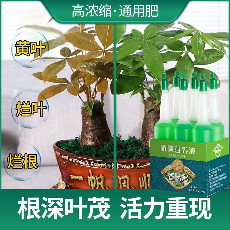 植物营养液绿萝通用型土水培盆栽养花多肉富贵竹专用浓缩花卉肥料