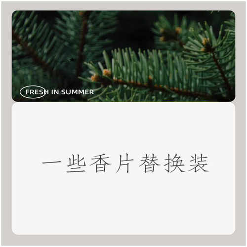 阿淞（无味）一些香片香条替换 单拍不包邮 需要跟产品一起才包邮