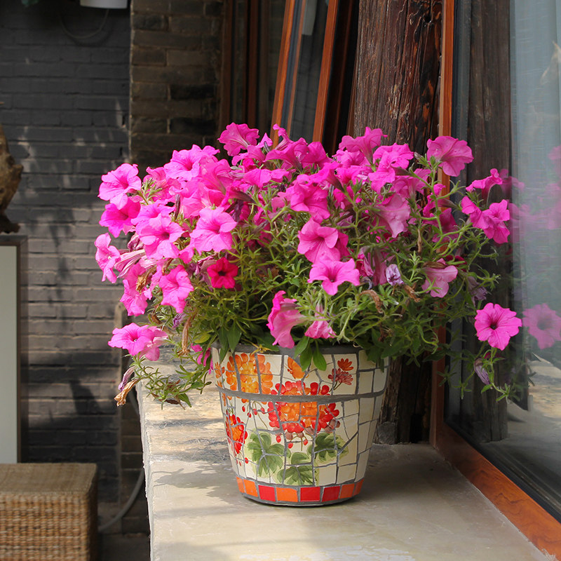 极速特色创意陶瓷马赛克花盆多肉小花盆Q肉肉盆绿植小花盆