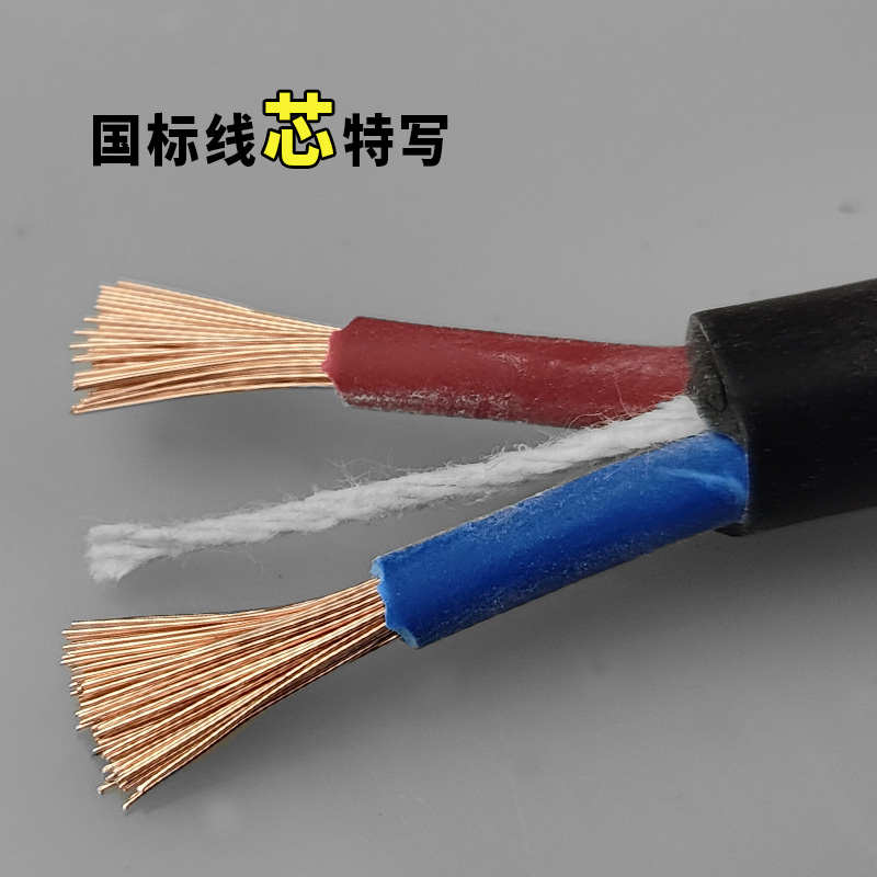 二芯国标电线e软线1.5 2.5 4 6平方户外防冻护套电源线50米电缆线
