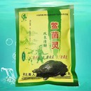 30g40g 龟鳖灵适用于龟类通用型试用装