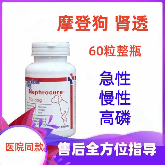 摩登狗肾透肾舒宠物医院犬猫狗肾康肾脏问题兽医医生咨询高磷养护
