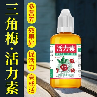 三角梅开花专用肥花促爆冒花素植物活力素浓缩营养液通用促花爆花