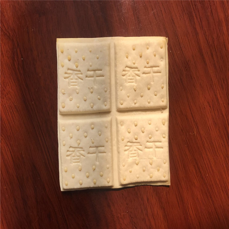 盛隆家用小型全自动豆腐干机