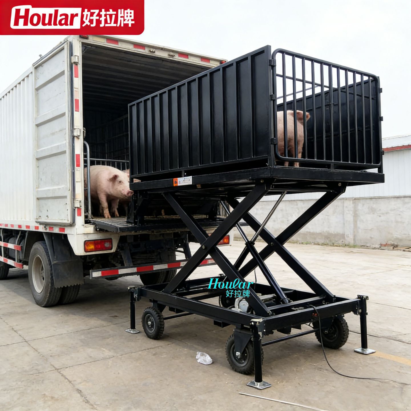 hoular养猪升降平台定大型卸猪台养殖装卸平台生猪周转升降机