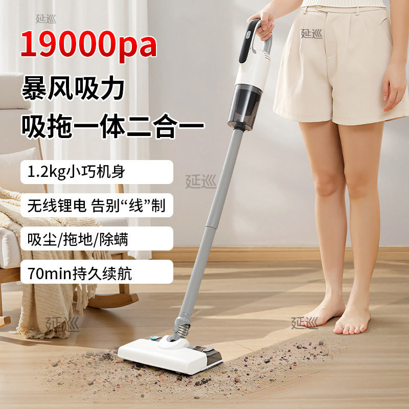 吸干湿两用大吸力手持吸尘器无线水箱可拆吸力强拖家用一体新款