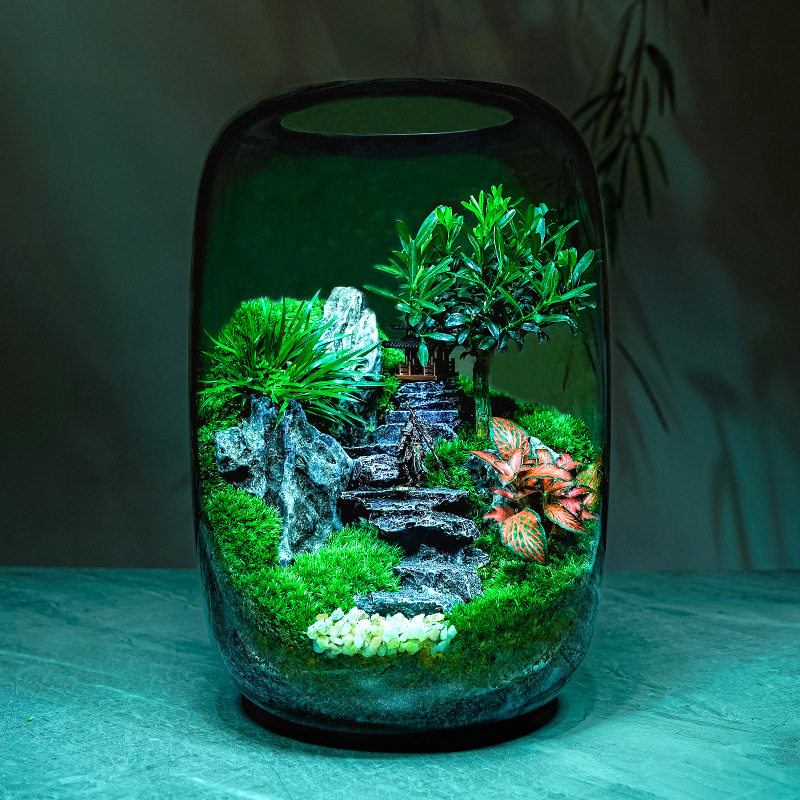 醉翁亭桌面微景观玻璃生态瓶苔藓成品创意盆栽装饰摆件盆景植物