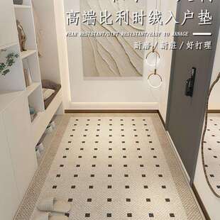 地毯门垫进门轻奢现代入户门地垫家用门口脚垫大门室内玄关简约风