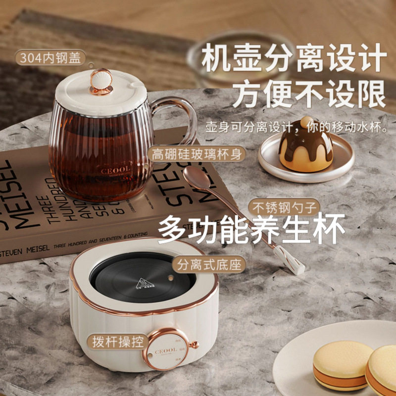 迷你全自动养生煮茶电炖杯