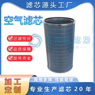 不锈钢滤芯 工业环保设备空压机除尘 AP生产空滤262 5115替代
