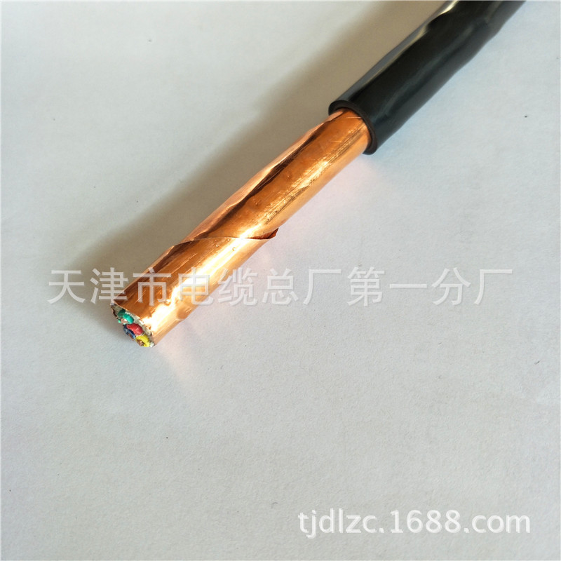 DJYVP2 铜带总屏蔽计算机电缆 铜带厂家生产