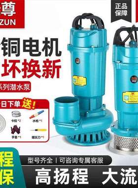 大流量潜水泵220v伏家用抽水泵小型农用农田灌溉水井抽河流高扬程