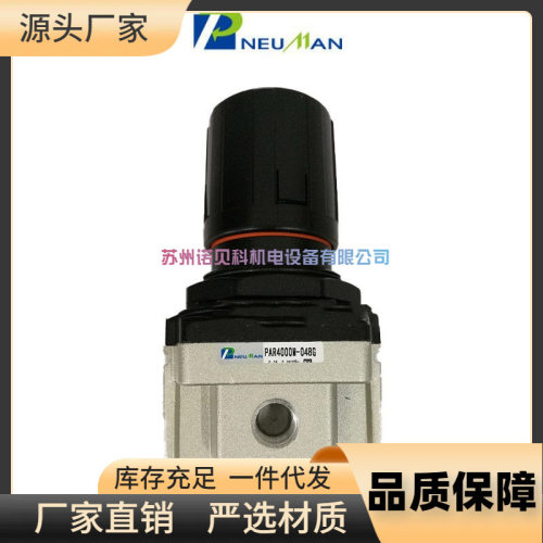 Pneuman过滤器PR4/6000T/PRP/PR/PFM/PF/PW/PC2/3/4000-06/PRJ310