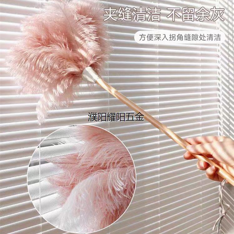 真鸵鸟毛掸子钢琴清洁不