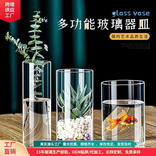 简约玻璃花绿萝水培生态子直筒花微景观香熏蜡烛分装玻璃