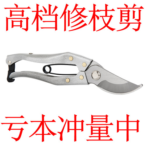 花剪修枝剪树枝剪刀园艺剪刀粗枝剪果树剪五金工具花艺果枝剪葡萄