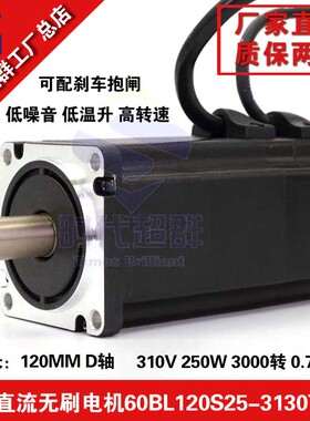 310V 高压直流无刷电机60BL120S25-3130TF9  3000转 250W无刷电机