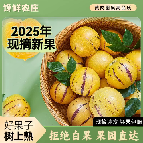 馋鲜农庄人参果树上黄果