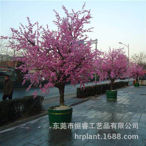 厂家设计定做婚庆影视道具假桃花樱树装饰背景绢花PE塑料花