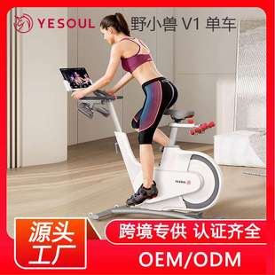 YESOUL野小兽健身房家用智能跨境动感单车超静音磁控运动健身车V1