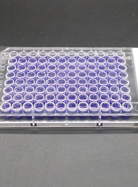 封板膜耐高温ePCR荧光定量/透气膜铝箔48孔384孔双膜切线超透明不