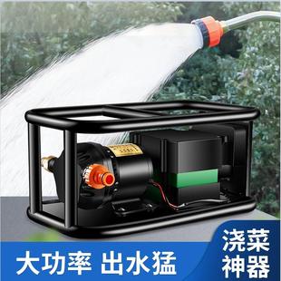 浇水神器12v家用抽水泵抽水机大流量农用灌溉水泵大浇菜机 充电式